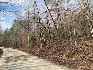 View from Choehee Valley Rd side of the 3.41 acres