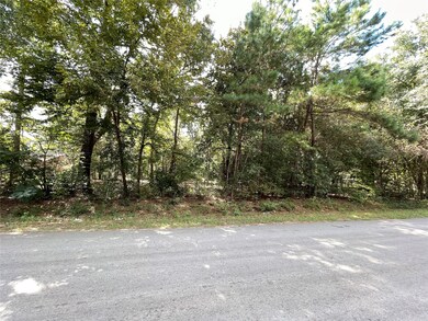 0 County Road 373 unit 48237845, Splendora, TX 77372 - photo 4