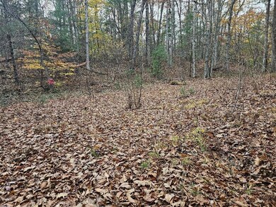 20241030_170554_resized