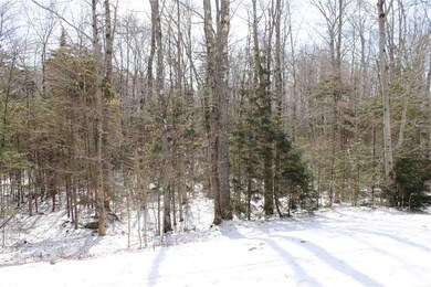 7 Cortina Country Rd unit Lots 10 and 11, Mendon, VT 05701 - photo 4