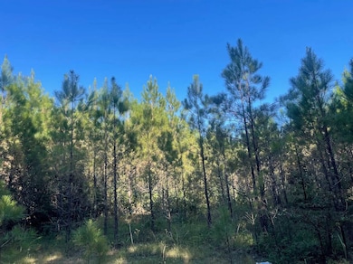 00 N County Line Rd, Maben, MS 39750 - photo 4