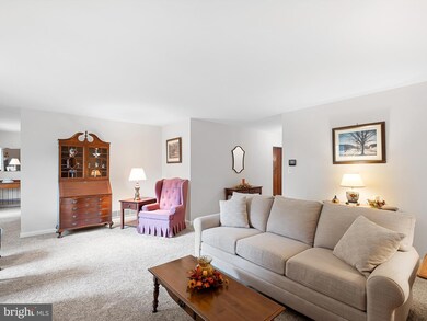 1101 Artwin Rd, Wilmington, DE 19803 - photo 6