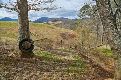 138 Peaceful Valley Dr, Leicester, NC 28748 - photo 3