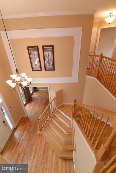 42897 Vestals Gap Dr, Broadlands, VA 20148 - photo 3