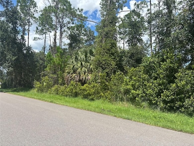 24 Zinnia Trail, Palm Coast, FL 32164 - photo 2