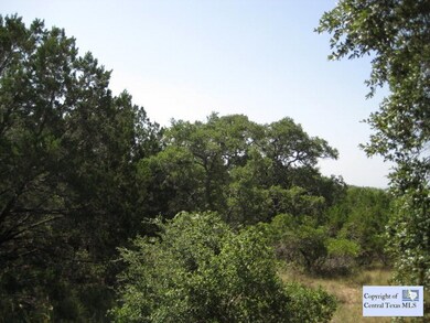 Loaded with Oak Trees! with a Rear View of Canyon Lake.