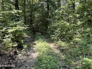 1255 Winningham Rd, Byrdstown, TN 38549 - photo 3