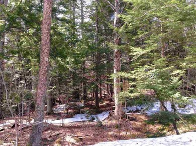 Ridge 0 unit 26, Eaton, NH 03832 - photo 5