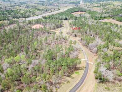 Lot 2 Pine Cir, Coker, AL 35452 - photo 4