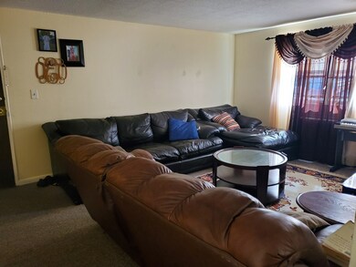 351 Hildreth St unit 12, Lowell, MA 01850 - photo 5