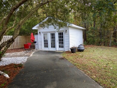 Backyard2