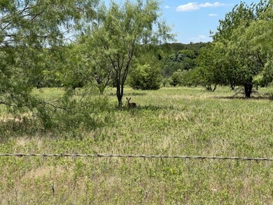 Tract 5 County Rd 4461, Decatur, TX 76234 - photo 4