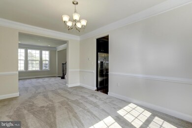 19018 Black Maple Way, Hagerstown, MD 21742 - photo 4