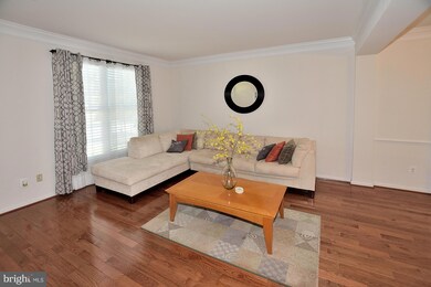 43073 Edgewater St, Chantilly, VA 20152 - photo 3