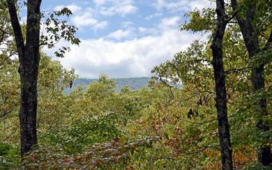 Additional View