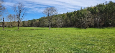 162 Tims Draft Ln, West Augusta, VA 24485 - photo 5