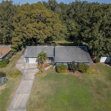 4221 Lake Eleanor Dr, Mount Dora, FL 32757 - photo 5