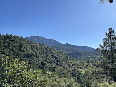 0 Mountain View unit 2011252, Idyllwild, CA - photo 7