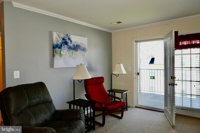 2013 Rudy Serra Dr unit 2C, Sykesville, MD 21784 - photo 7