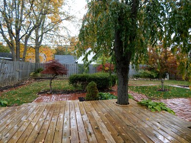 Deck and yard