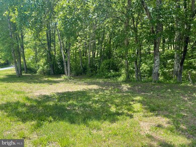 8714 Whites Ln, Spotsylvania, VA 22551 - photo 7