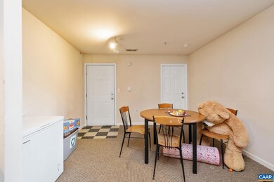 195 Yellowstone Dr unit 301, Charlottesville, VA 22903 - photo 4