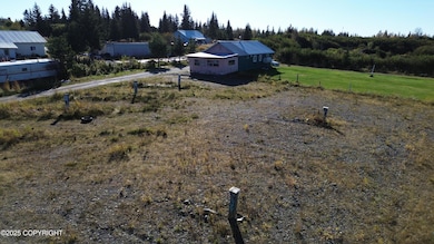 64820 Nikolaevsk Rd, Nikolaevsk, AK 99556 - photo 3