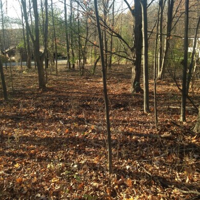 2580 Knapp St NE, Grand Rapids, MI 49505 - photo 4