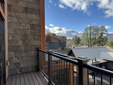 239 Skimobile Rd unit 312, Conway, NH 03860 - photo 3