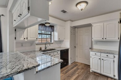 4204 Angelina Dr, Granbury, TX 76049 - photo 5