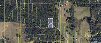 0 Crager Rd, Chatom, AL 36518 - photo 2