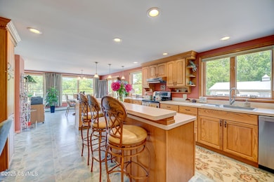 56 Whitmire Rd, Orangeville, PA 17859 - photo 6