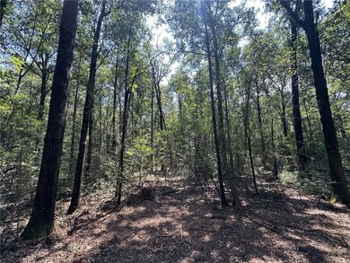 Danner Dr, Wilmer, AL 36587 - photo 4