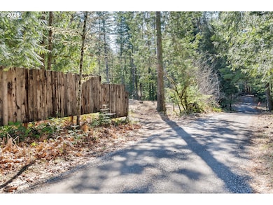 0 Alma Dr unit 155780752, McKenzie Bridge, OR 97413 - photo 5