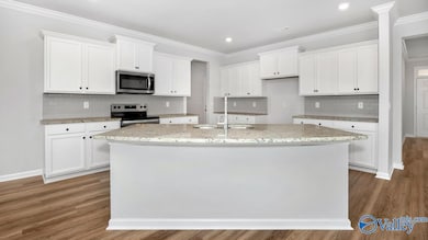 8510 Sophia Nicolle Ct, Gurley, AL 35748 - photo 3