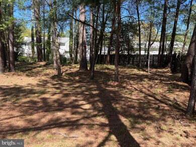 21944 Springwood Ct, Lexington Park, MD 20653 - photo 4