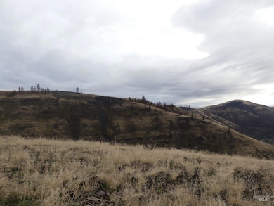 17550 Stoney Point, Juliaetta, ID 83535 - photo 7