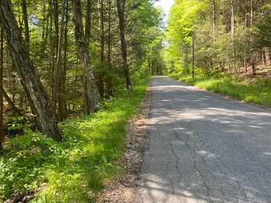 0 Mercy Anderson Rd unit 72987869, Shelburne, MA 01370 - photo 3