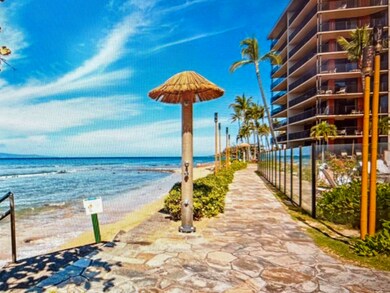 Oceanfront Sandy Beach