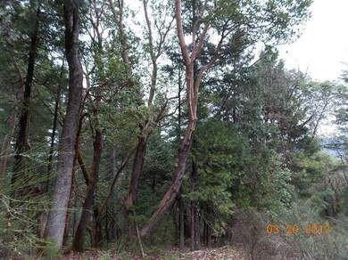 222 Gray Eagle Dr, Grants Pass, OR 97526 - photo 6