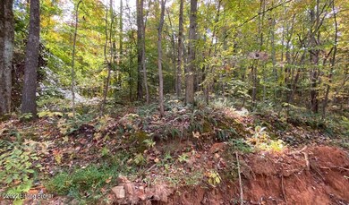River View Fall274