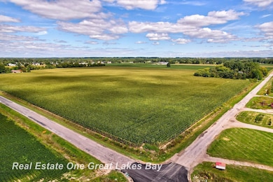 V/L Mielke Rd, Freeland, MI 48623 - photo 3