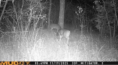 N18104 Perch Lake Rd, Pembine T-Wi, WI 54156 - photo 4