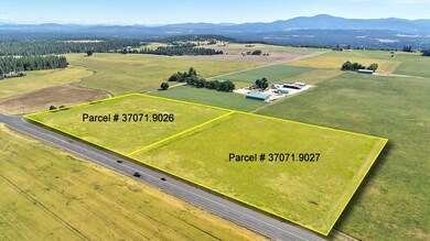 4XX E Half Moon Rd, Colbert, WA 99005 - photo 6