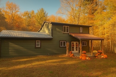 380 Hardscrabble Rd, Mineral Bluff, GA 30559 - photo 3