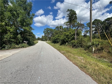 341 Fairfield Ave, Lake Placid, FL 33852 - photo 4