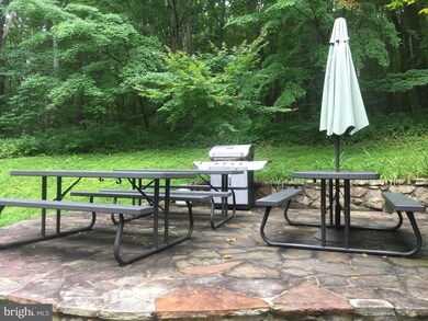 605 Mountainside Rd, Berkeley Springs, WV 25411 - photo 5