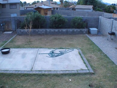 backyard2