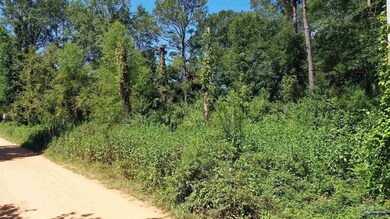 0 Eureka Landing Rd unit 669712, Uriah, AL 36480 - photo 7