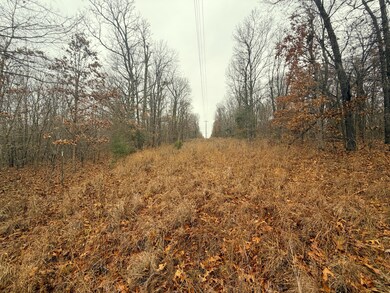 8ac Farm Road Sw4381, Noel, MO 64854 - photo 5